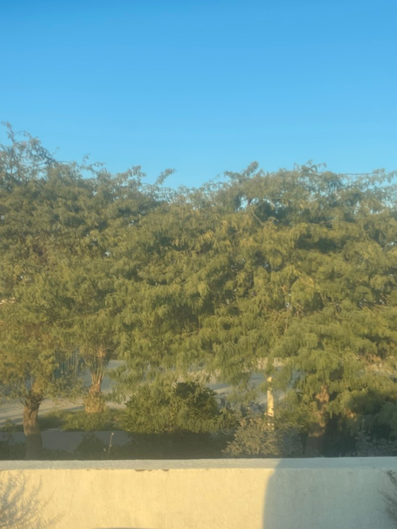 walking near me in Fahaheel Park in winter