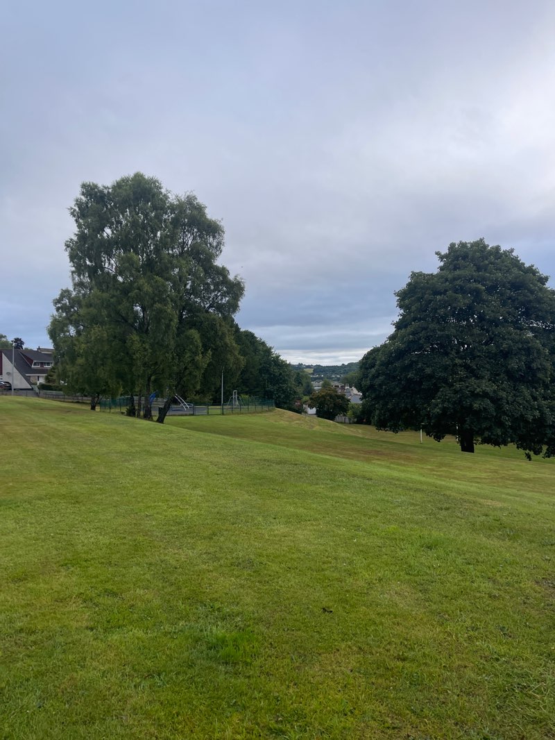 walking near me in Blackpark in autumn
