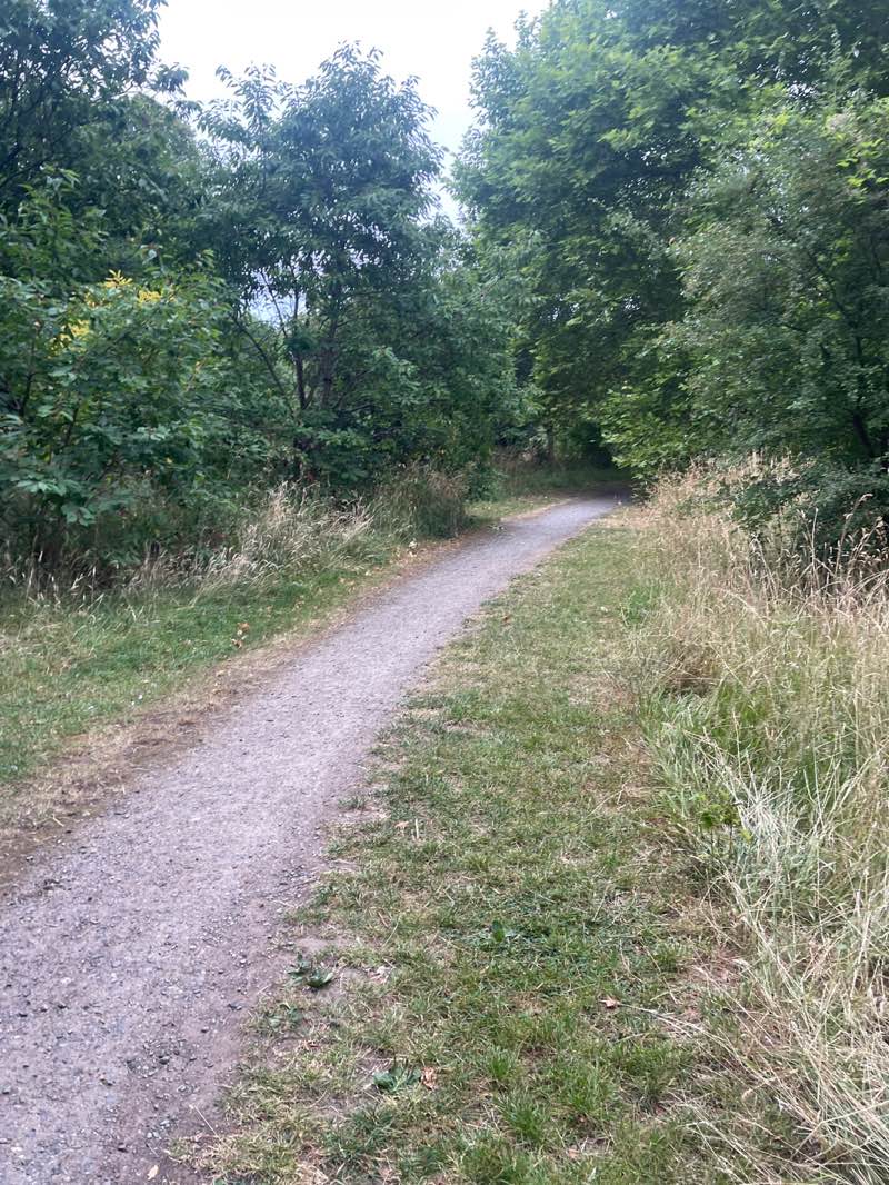 walking near me in Onslow Arboretum in autumn