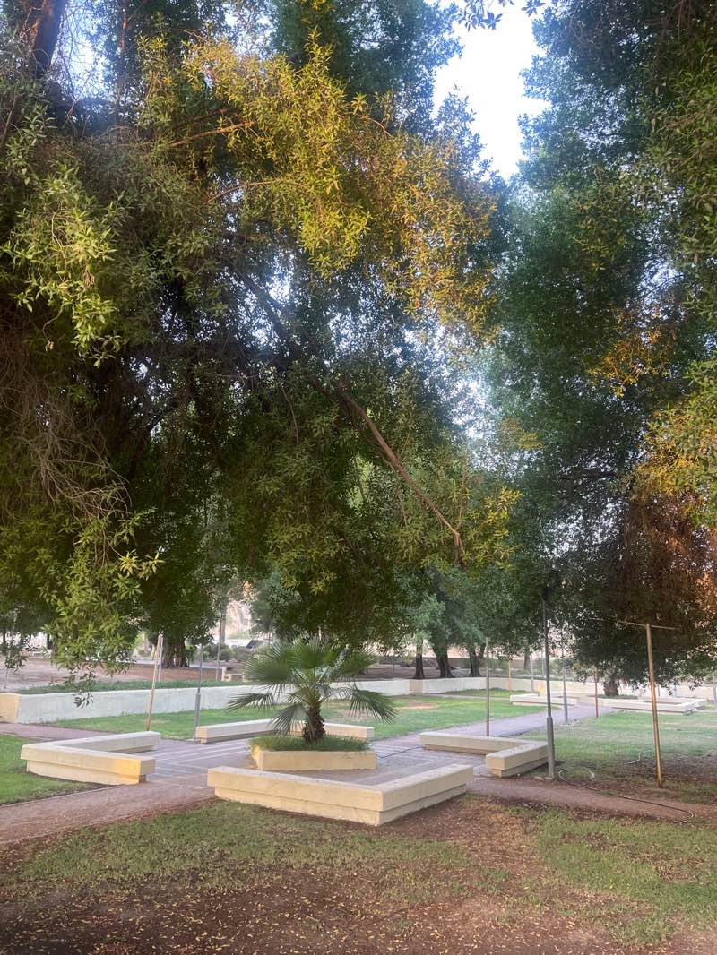 walking near me in Fintas Park in autumn