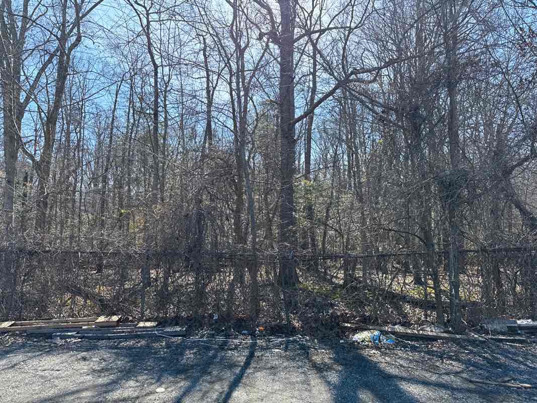 walking near me in Central Av Park in winter