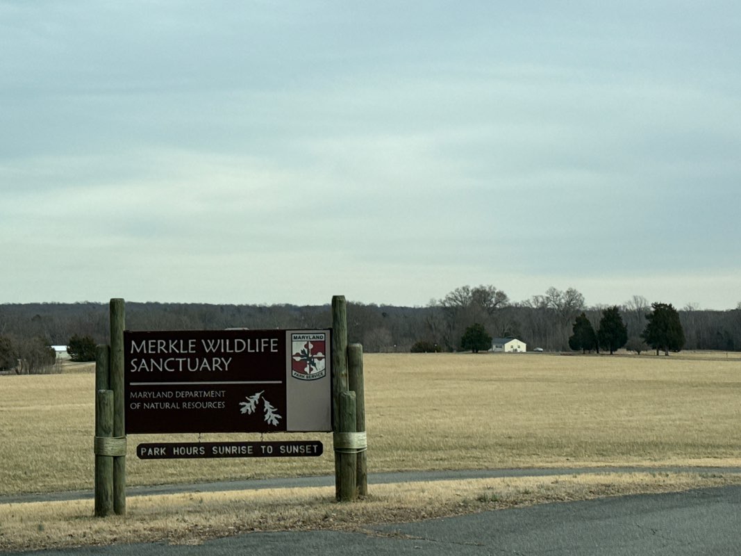 walking near me in Merkle Wildlife Sanctuary Natural Resource Management Area in winter