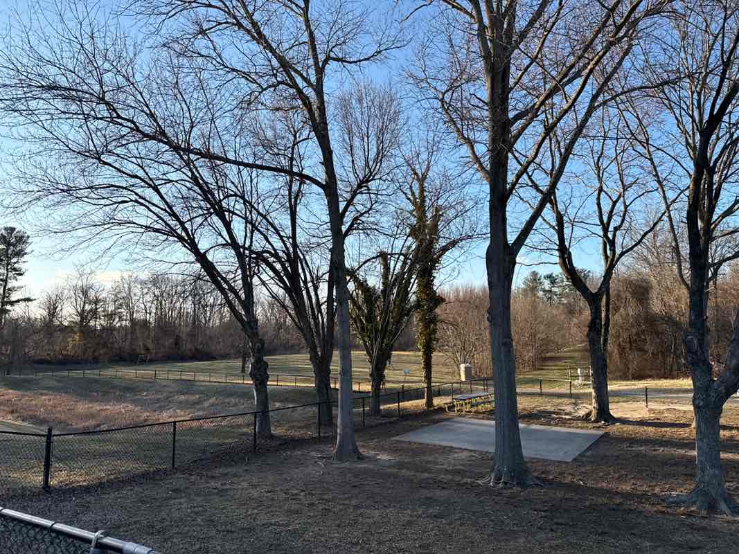 walking near me in Kings Branch Park in spring