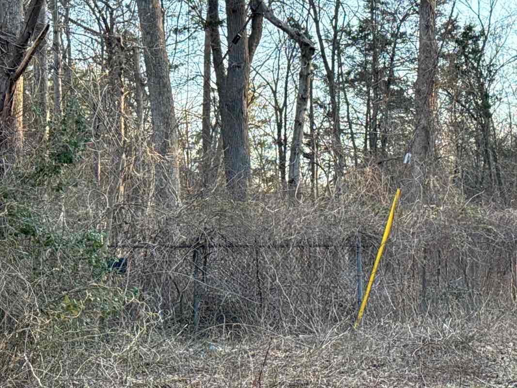 walking near me in Chaney Natural Resource Management Area in spring