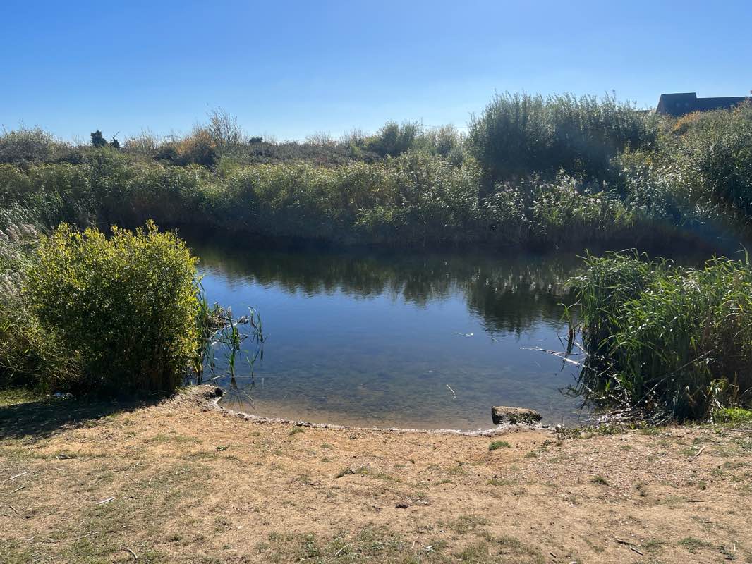 walking near me in Iwade Nature Park in autumn