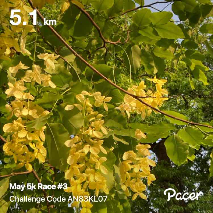 wounded racer post 1