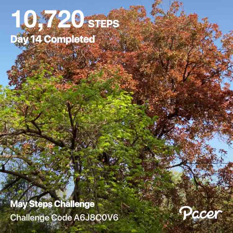 wounded racer post 1