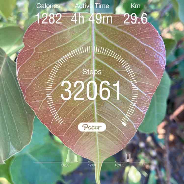 wounded racer post 1