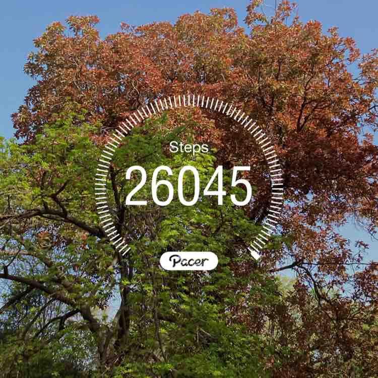 wounded racer post 1