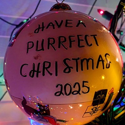 Polska - Dystans ROADBEAR 🐾🐻🇺🇸 post image