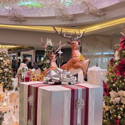 Skull Crushers🇺🇸🚸☠️ ROADBEAR 🐾🐻🇺🇸 post image