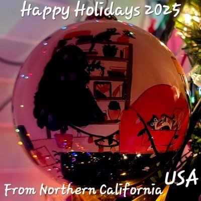 Walking Warriors ROADBEAR 🐾🐻🇺🇸 post image