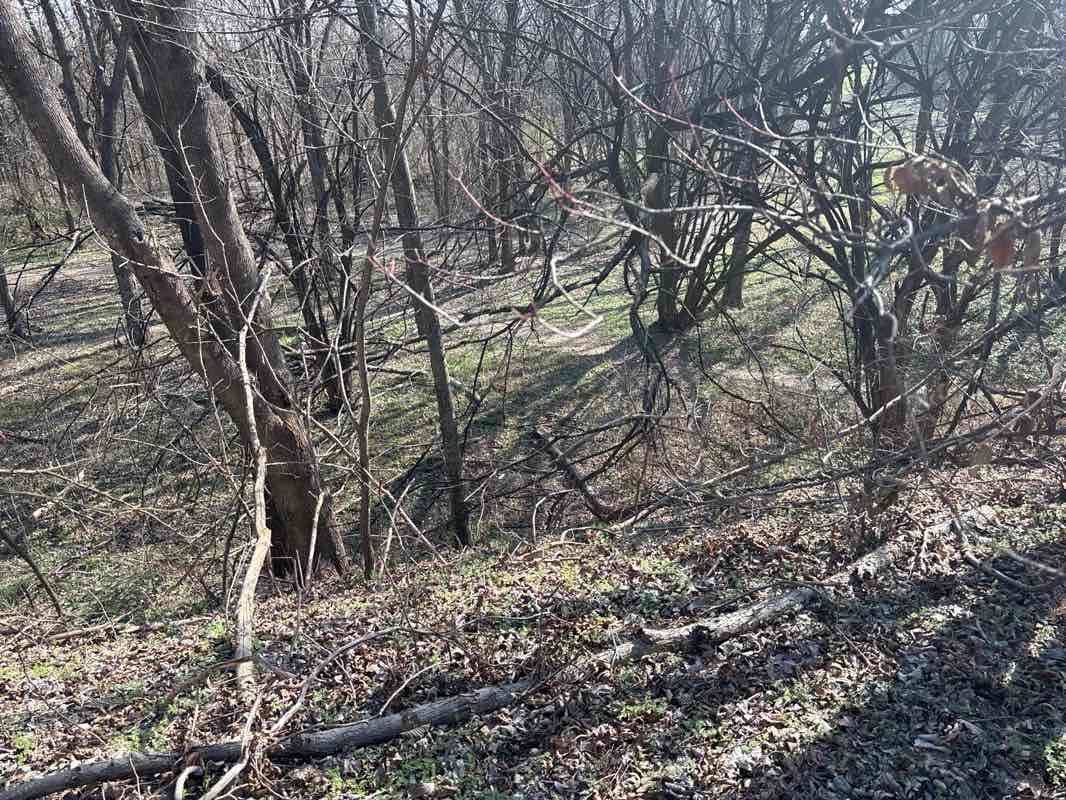 walking near me in Squabble Creek Bike Trails Park in winter