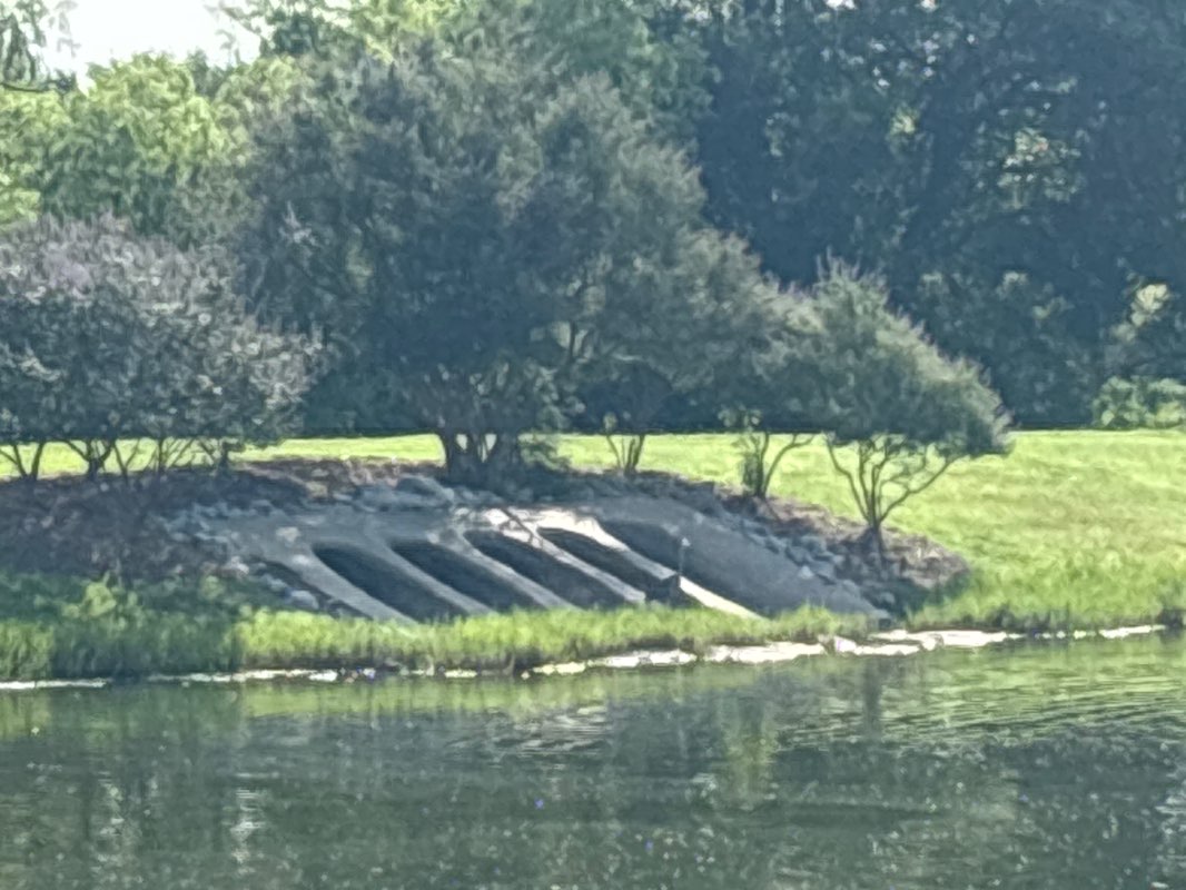 walking near me in Creekside Estates Park in summer