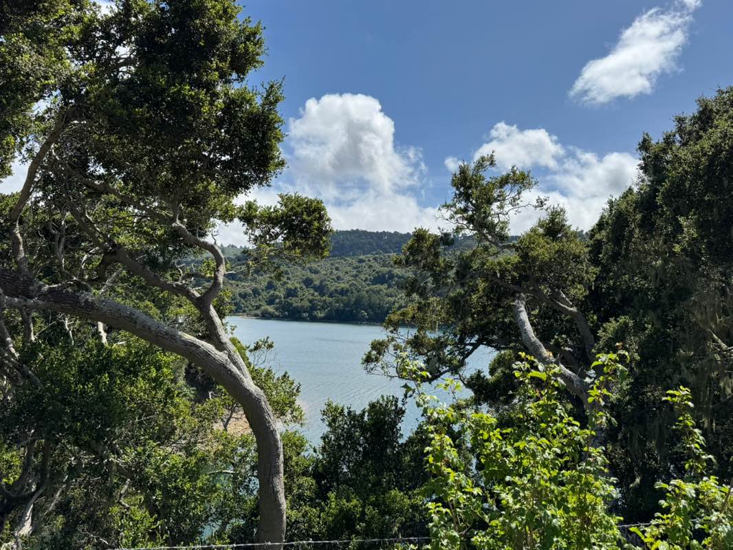 walking near me in San Francisco Peninsula Watershed in spring