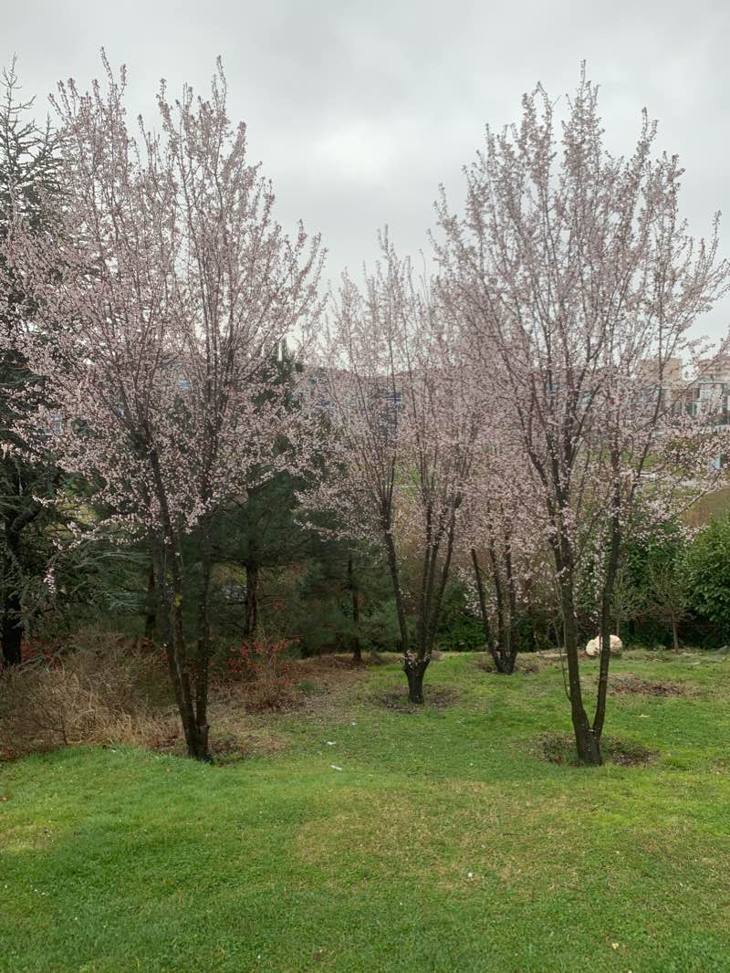 walking near me in Beylikdüzü Yaşam Vadisi in winter