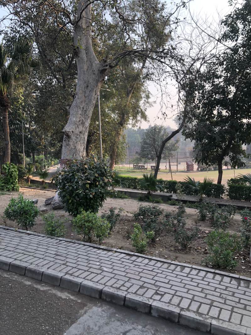 walking near me in Nisar Bagh in winter