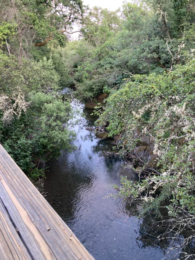 walking near me in Low Gap Park in spring