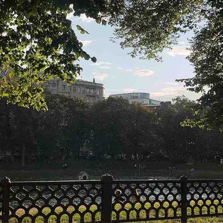 шport stepanvmomente post image