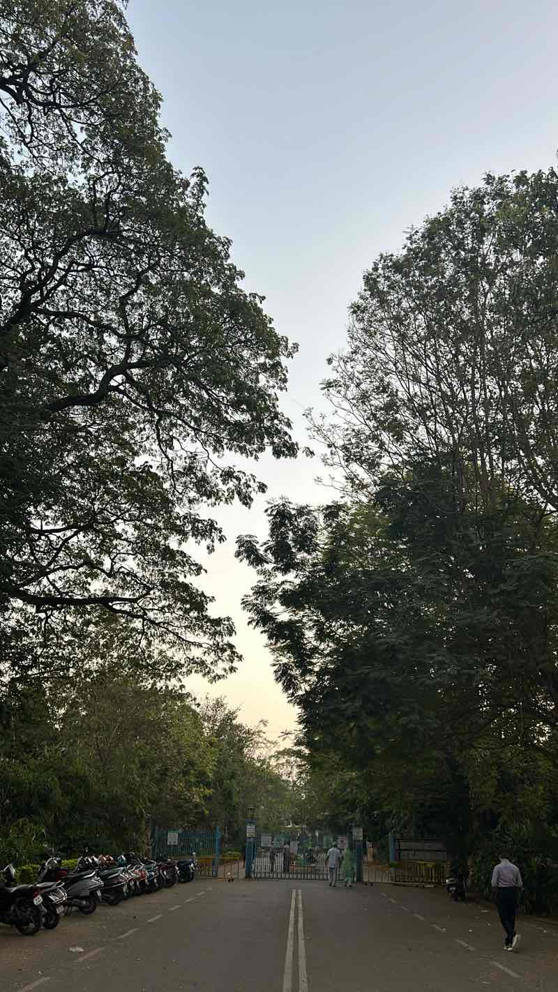 walking near me in Public Garden Park in winter