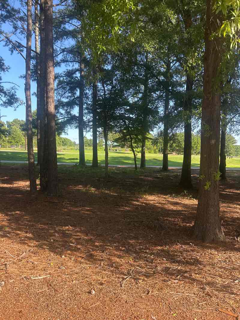 walking near me in Rabbit Hill Park in summer