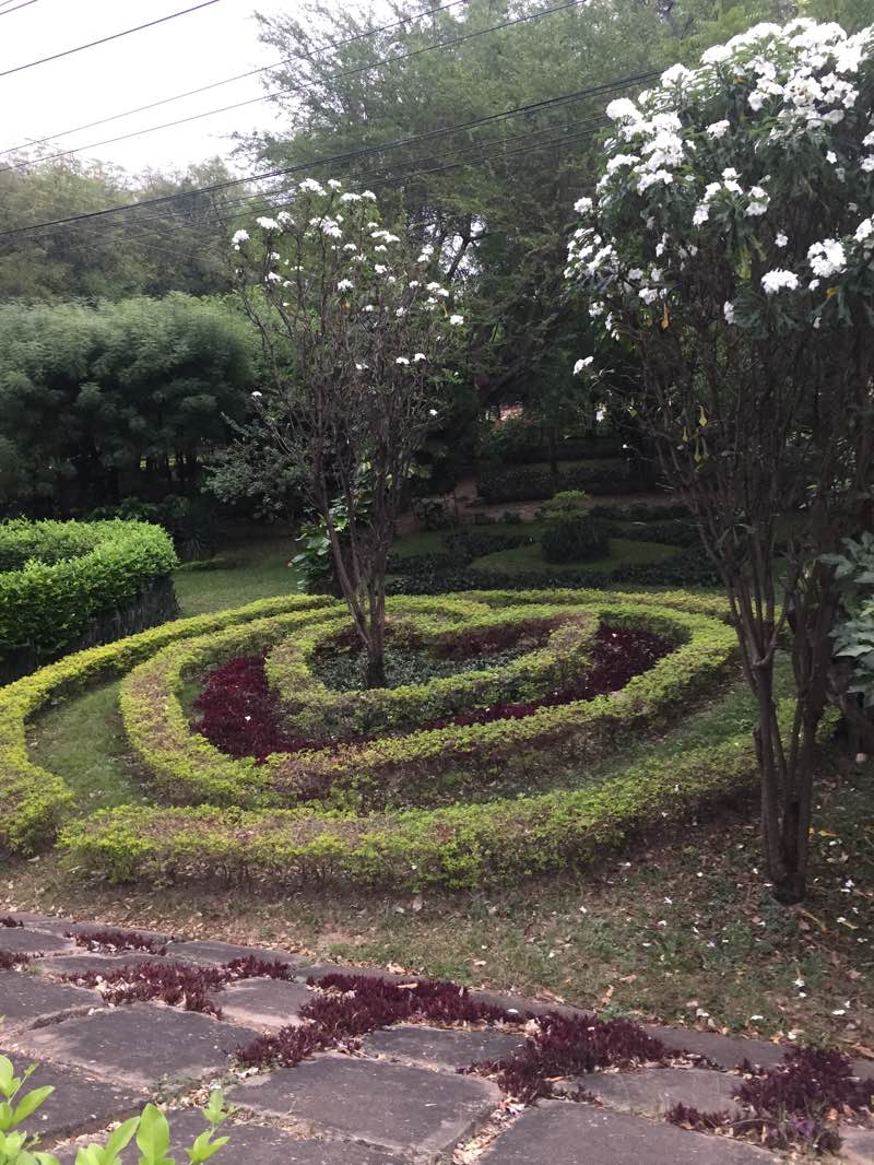 walking near me in Malecon in winter