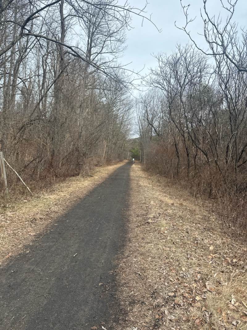 walking near me in Pat Walsh Park in spring