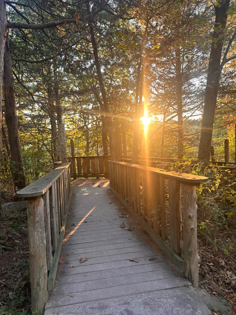 walking near me in Oakledge Park in autumn