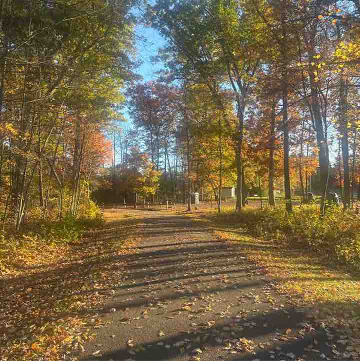 AtienoAlila 🇰🇪 post 2