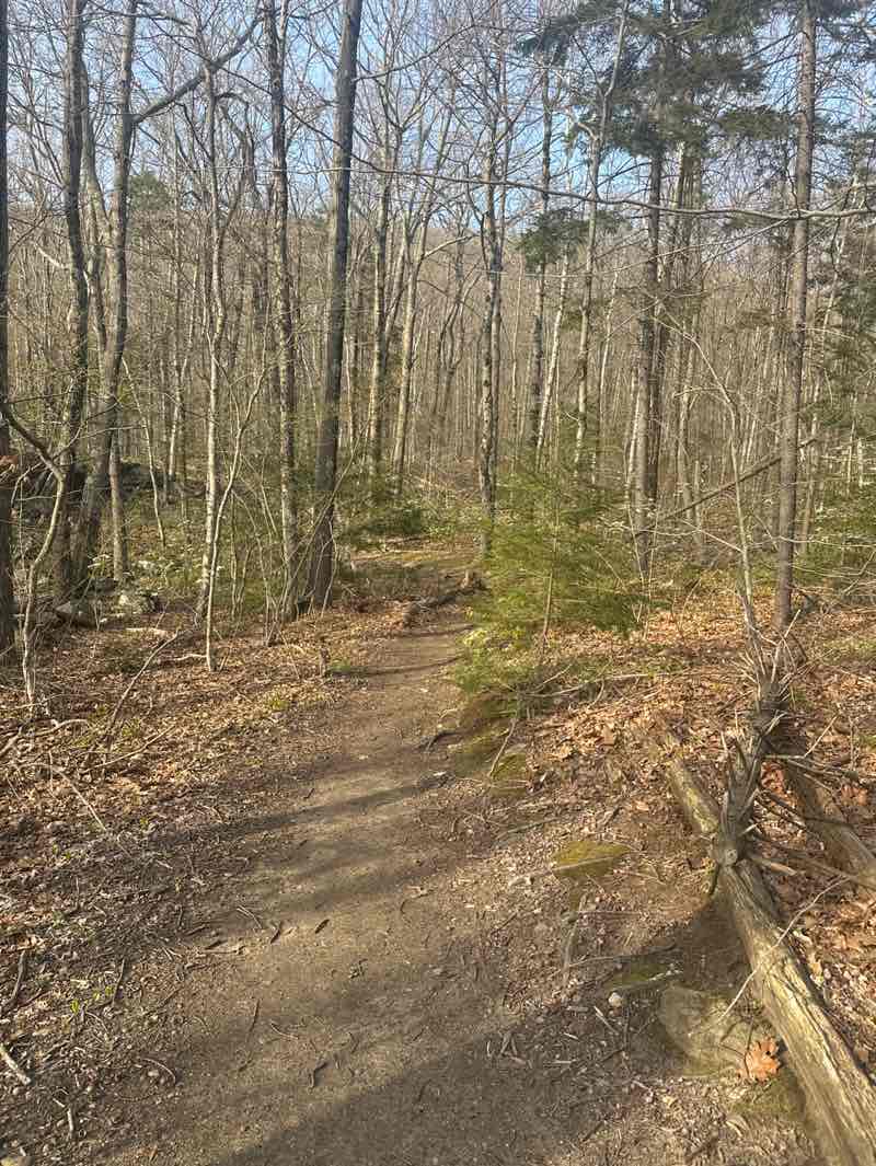 walking near me in Miller State Park in spring