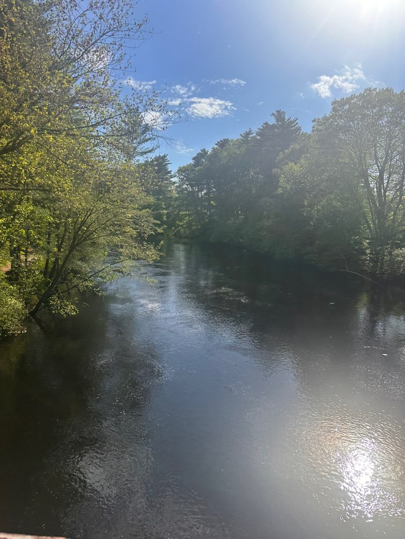 walking near me in Lincoln Park in spring