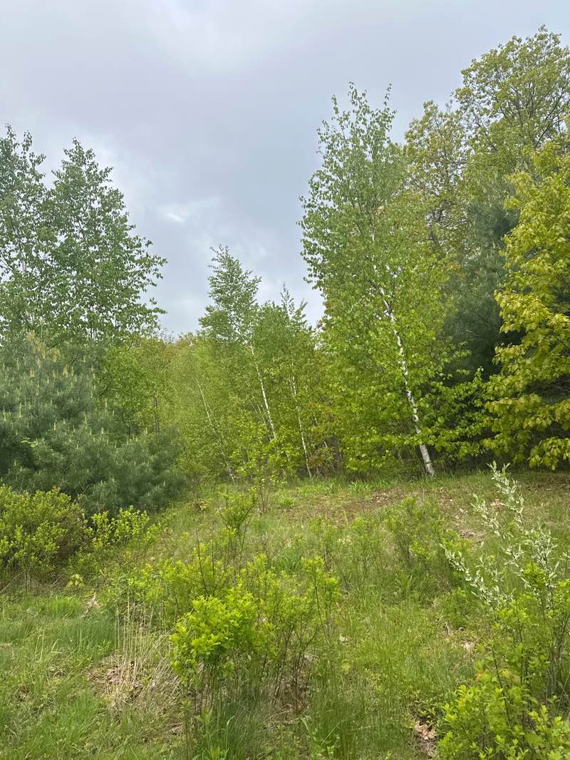 walking near me in Temple Mountain Reservation in spring