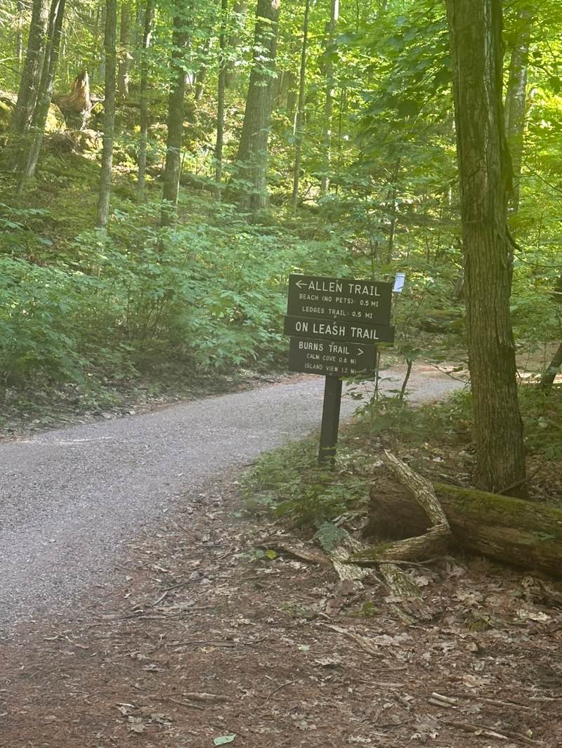 walking near me in Niquette Bay State Park in autumn