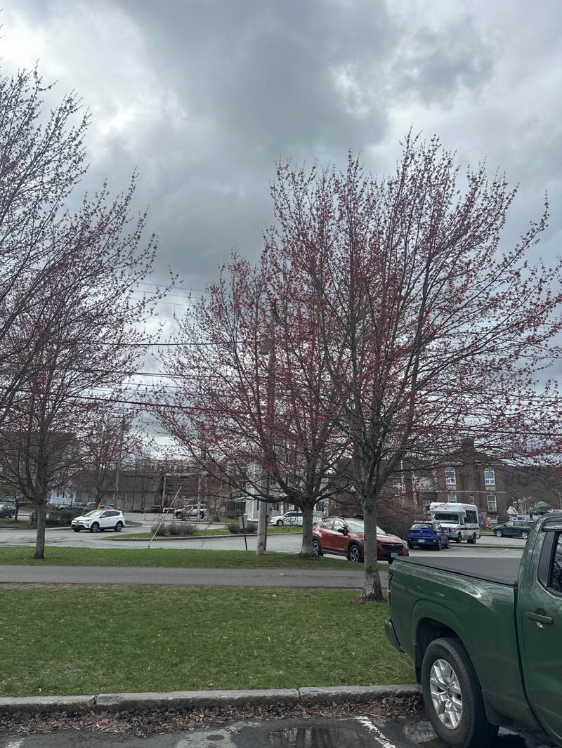 walking near me in Eldridge Park in spring