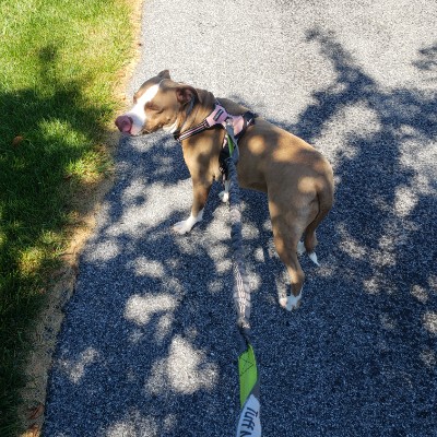 Julie hampton post 1