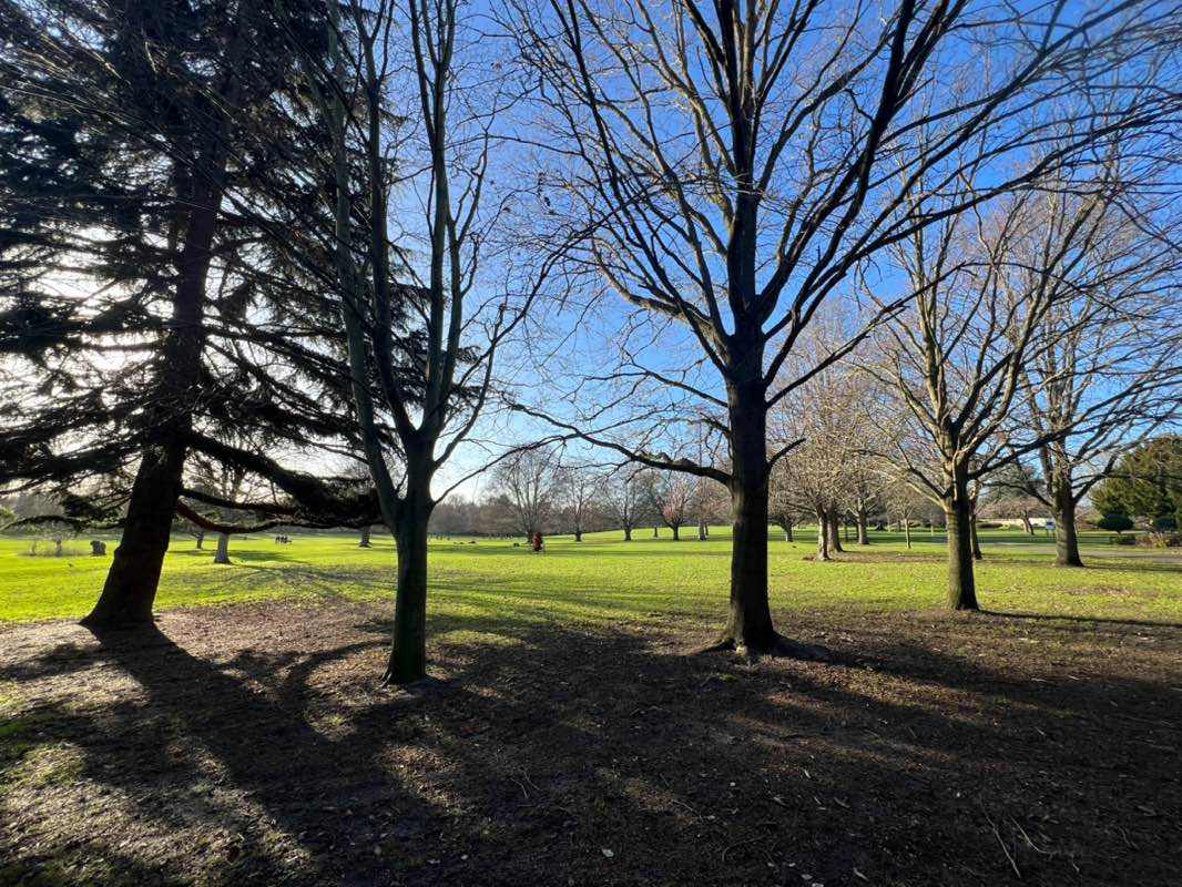 walking near me in Cheam Park in winter