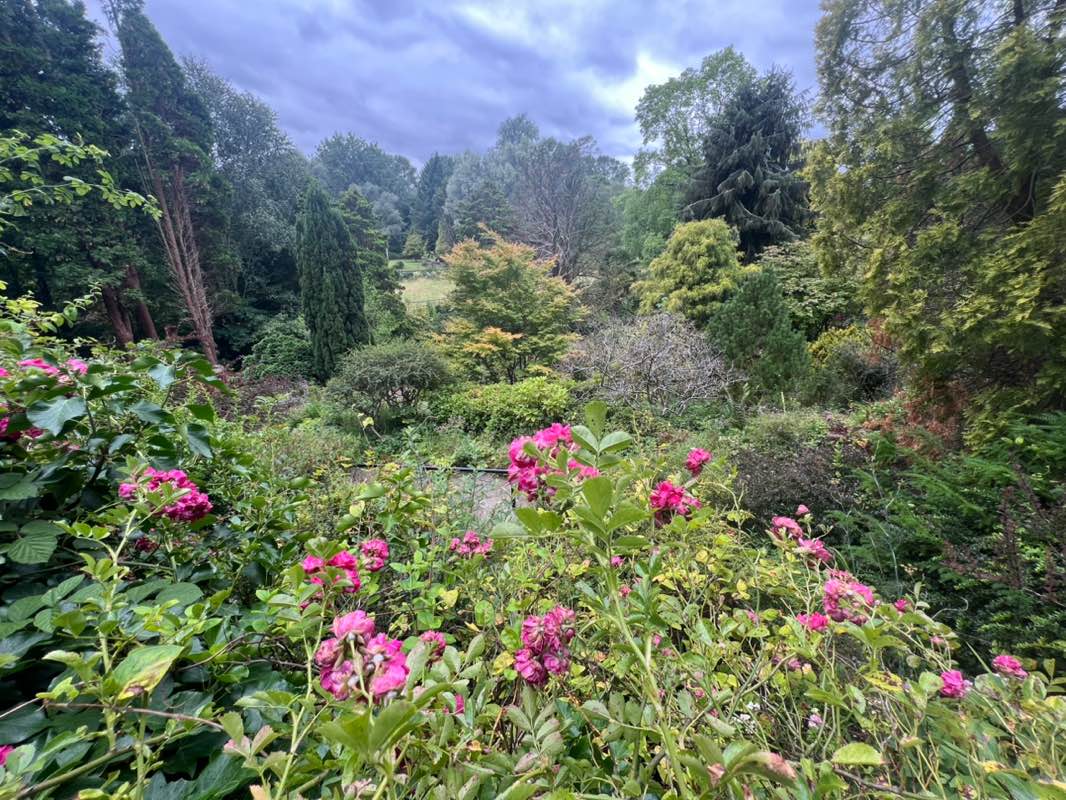 walking near me in Fletcher Moss in summer