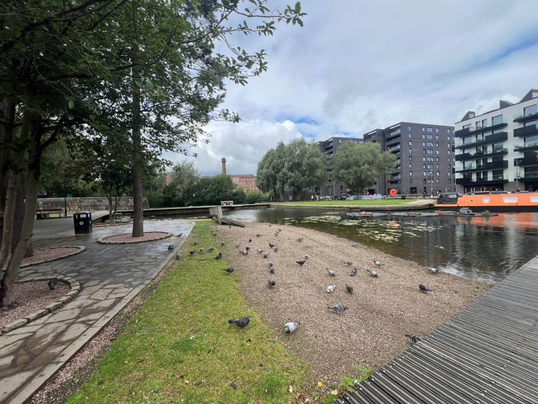 walking near me in Cotton Field Park in summer