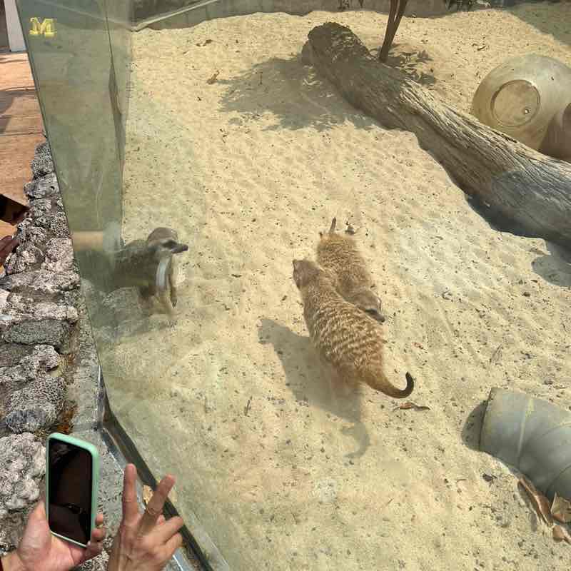 小蓉👨🏼‍🎓 post 3