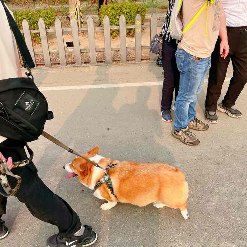 小蓉👨🏼‍🎓 post 3