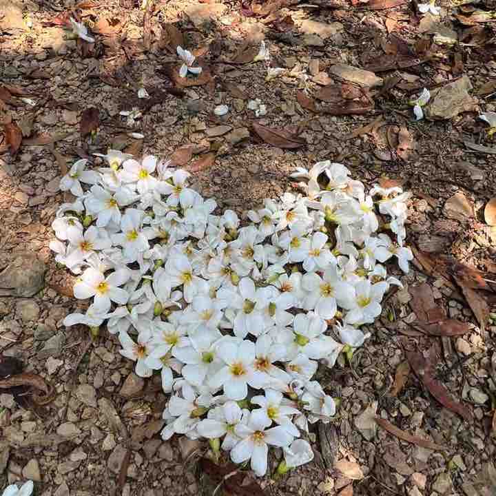 小蓉👨🏼‍🎓 post 2