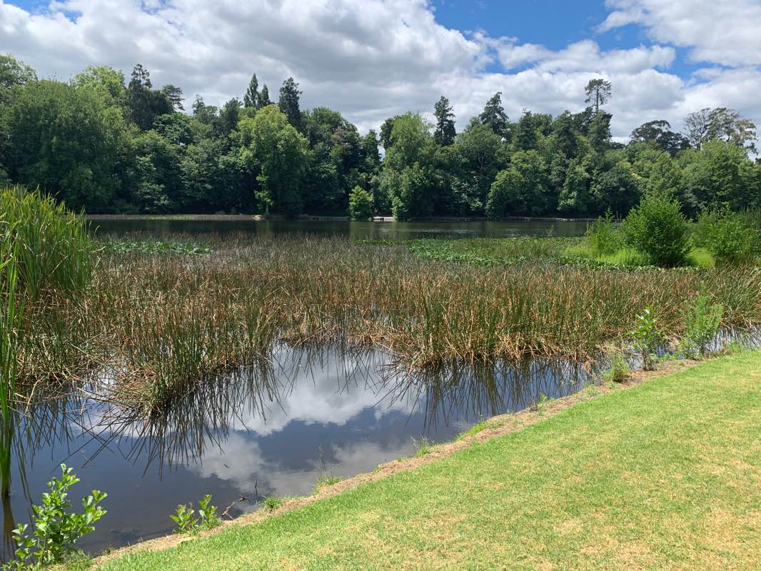 walking near me in Te Koutu Park in summer
