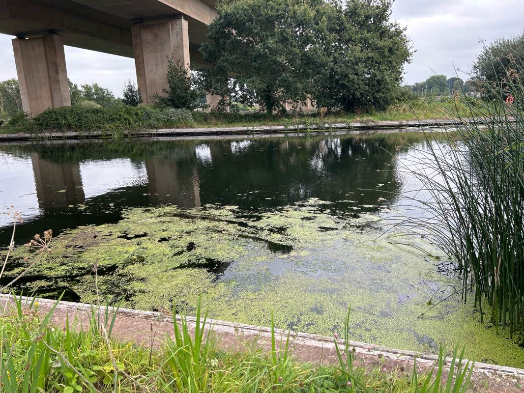 walking near me in Riverside Valley Park in winter