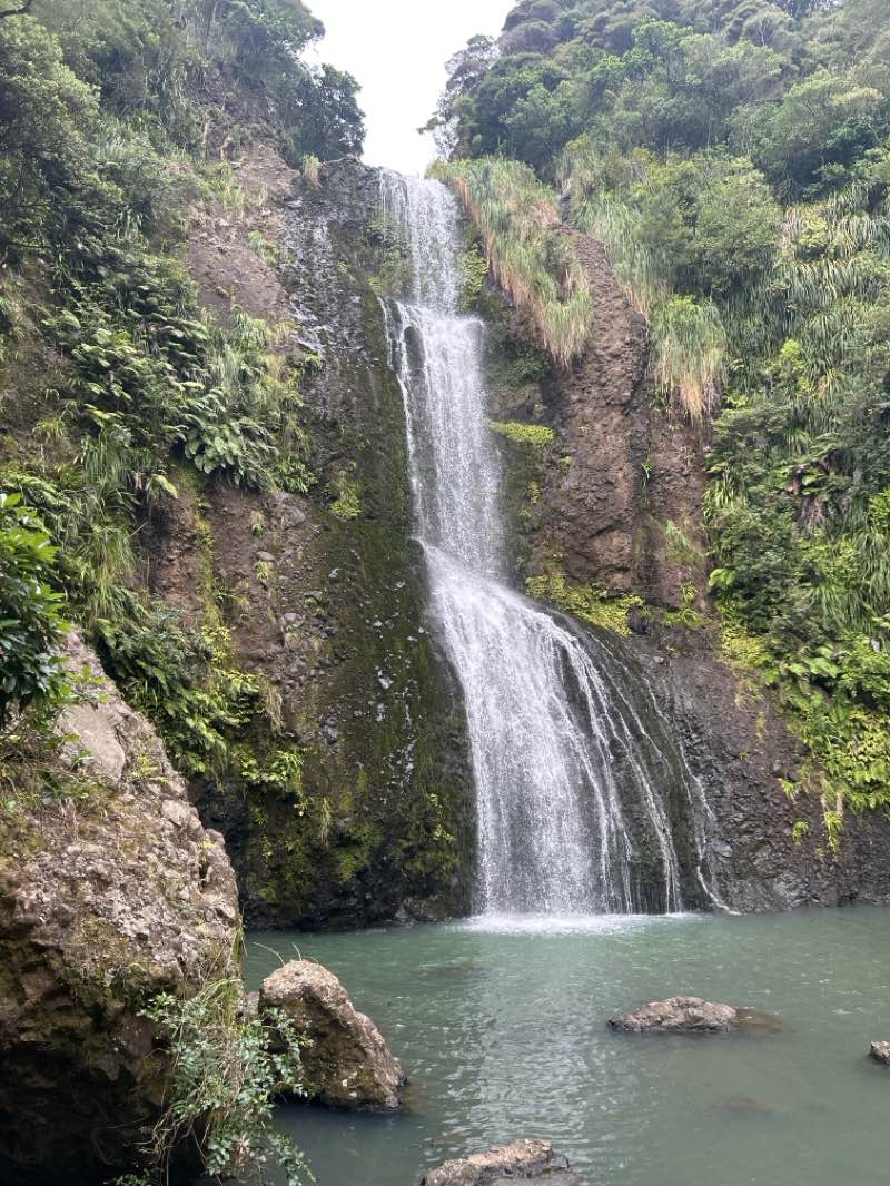 walking near me in Sir Algernon Thomas Green in summer