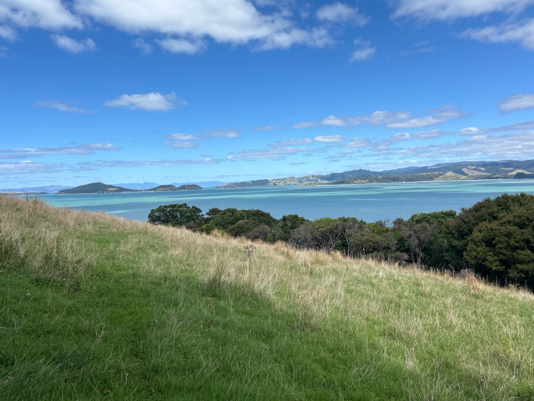 walking near me in Duder Regional Park in summer
