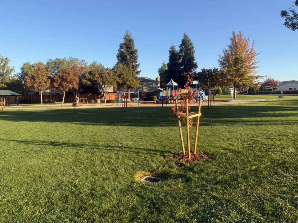 walking near me in John Erb Park in autumn