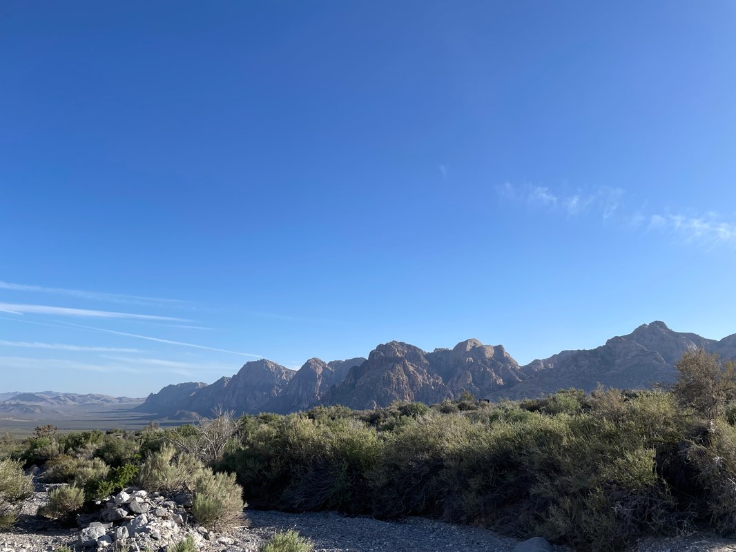 walking near me in La Madre Mountain Wilderness in winter