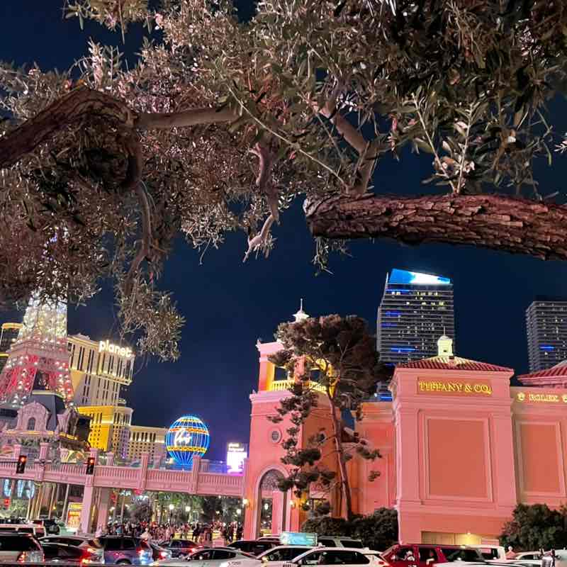 Jennifer 🇺🇸 post 2