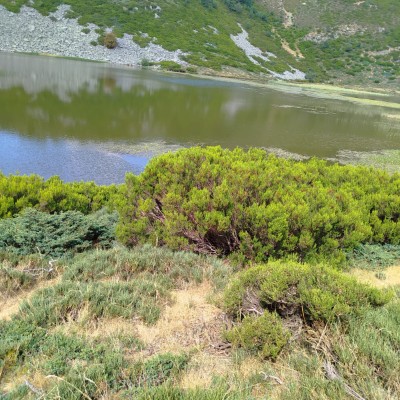 dejando huella pi post image