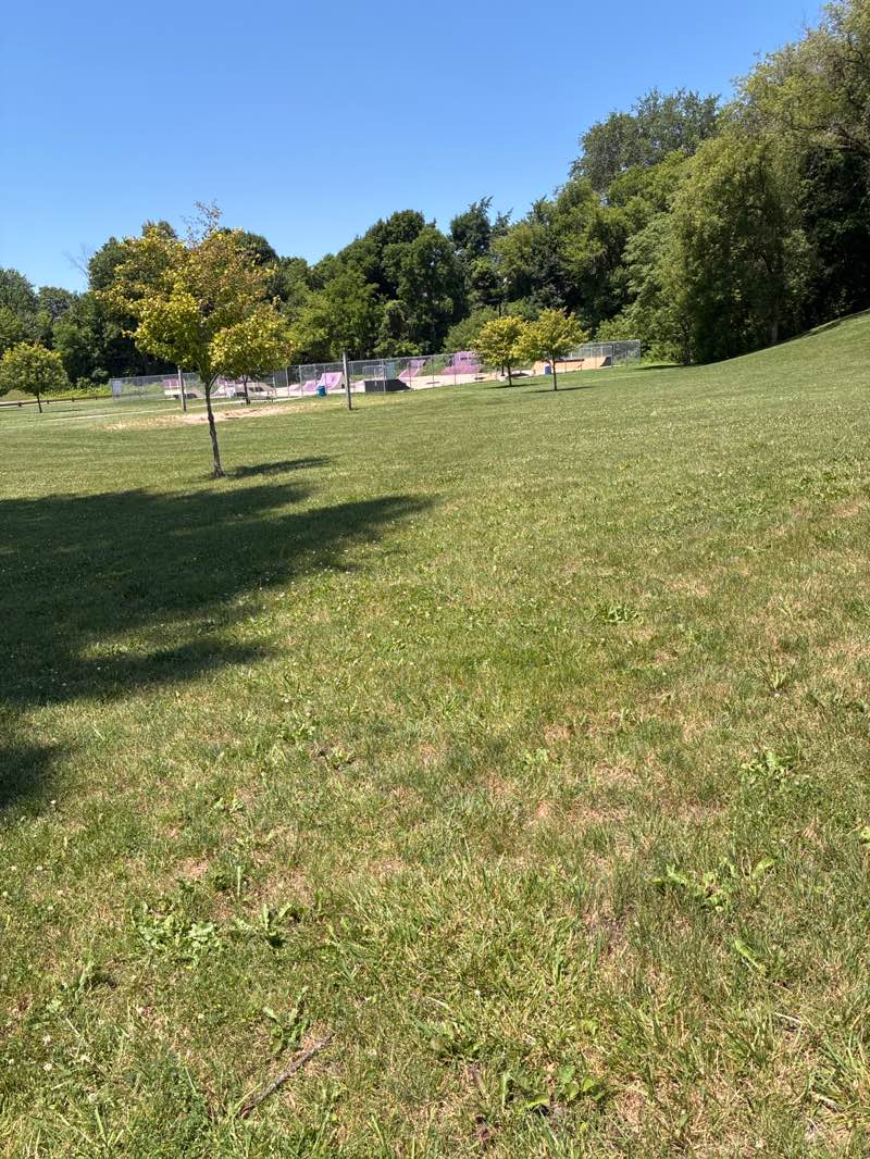 walking near me in Clio Skate Park in summer